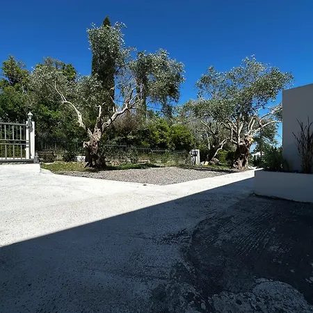 Gouvia Olive Tree House Villa